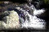 foto (7)